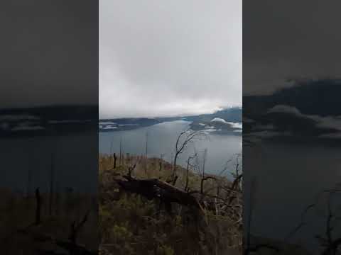 Hay quienes ven un dia #nublado nosotros vemos CARICIAS al LAGO PUELO #invierno 2024 #short #asmr