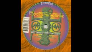 Electric Universe - Stardiver