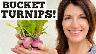 How to Grow Turnips in Containers - HARVESTING my first Bucket Turnips !!