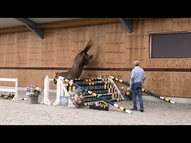 Jumping