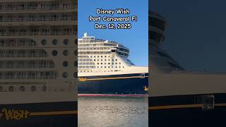 Disney Wish Musical Horn! (Star Wars Main Theme)