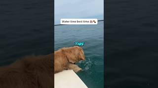 Download lagu Never let your dog play with water 🐶🌊 mp3
