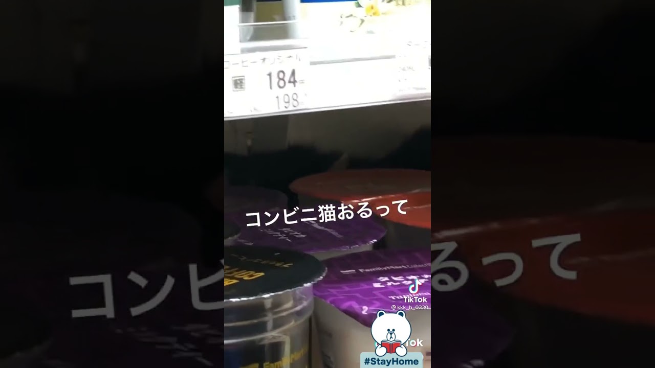 コンビニ 猫 おるって ヤバい 可愛い 怖い フォートナイト マリオカート