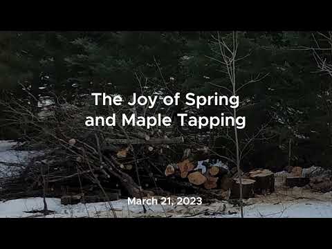 Cris Ericson - Funeral For A Maple Tree