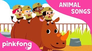 Peek-a-Zoo | Animal Songs | Pinkfong Songs for Children