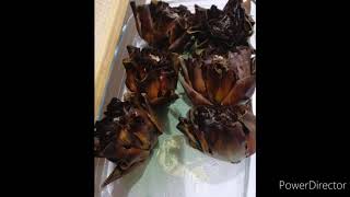 Carciofi arrostiti in friggitrice ad aria