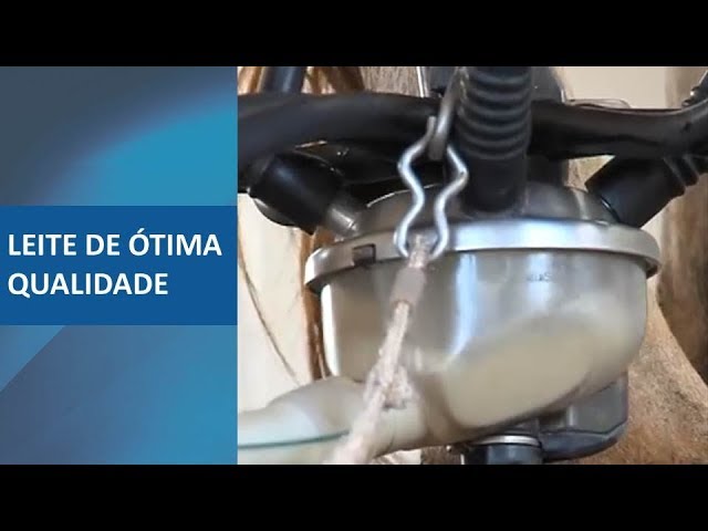 Vídeo sobre o produto #