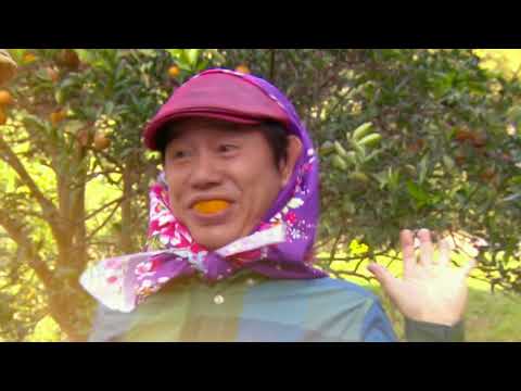 草地狀元的演員陣容