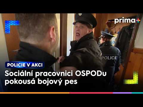 Sociální pracovnice byla při výkonu pravomoci napadená psem | Policie v akci