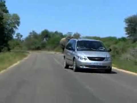 Elephant Charges Car in Kruger Park.flv