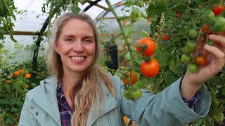 The Garden in October 🎃 Harvesting Pumpkins and some BIG NEWS