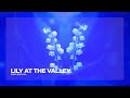 Boris Brejcha Lily At The Valley