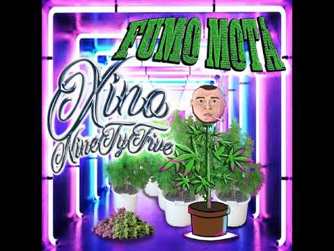 XinoNinetyFive - FUMO MOTA