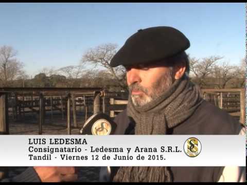 12-06-15 Nota Luis Ledesma - Ledesma y Arana S.R.L. - Tandil.