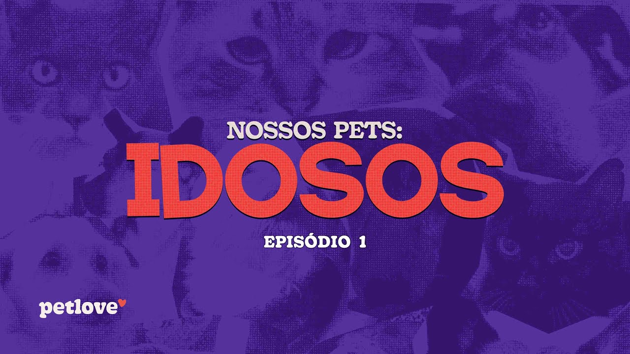 Nossos Pets: Idosos - Episódio 1 | Gatos