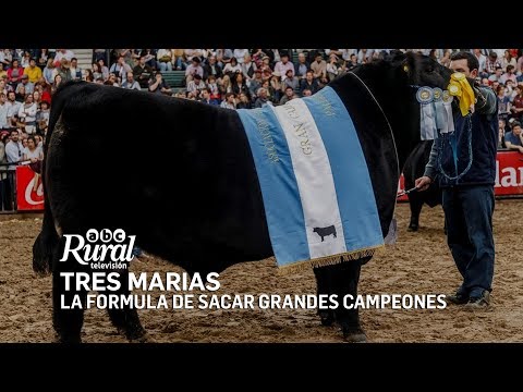 Cabaña Tres Marías de Horacio F. Gutiérrez la fórmula de sacar Grandes Campeones