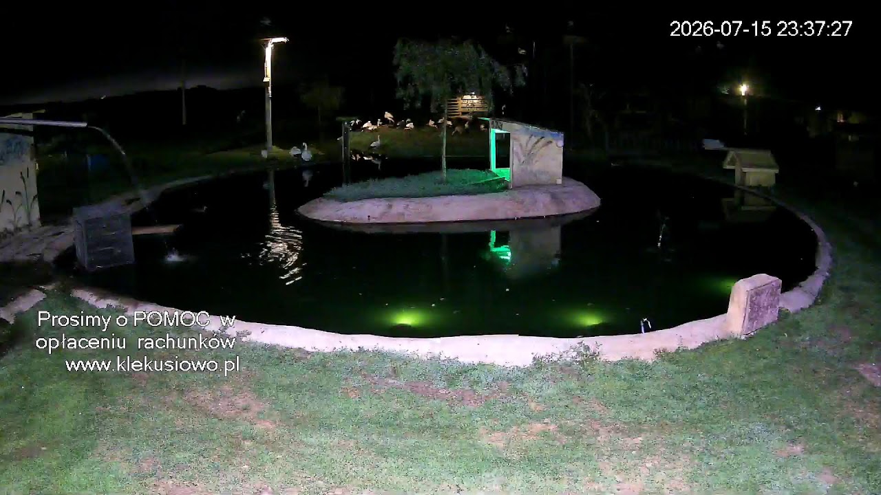Live webcam view of Klekusiowo Sanctuary Pond