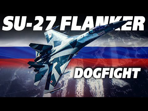 How Useful Is The Cobra? | Su-27 Flanker DOGFIGHT | Digital Combat Simulator | DCS |