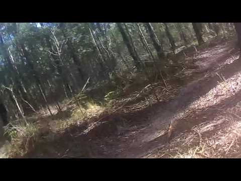 Jacks Ridge Mountain Bike Track Nambucca Heads