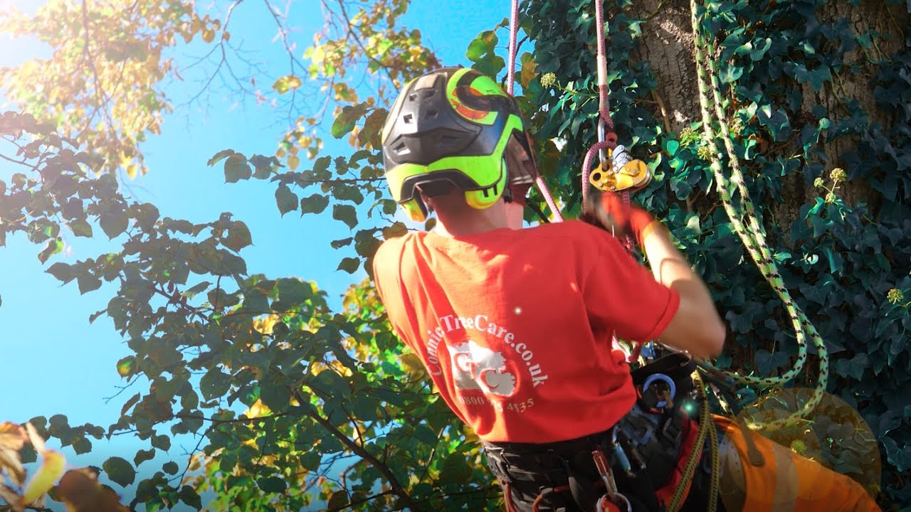 Connick Tree Care - A Great Place to Work