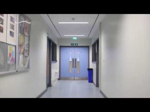 Slick Walk by Transition