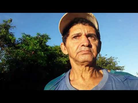 Especial de José Nario Mostrando a vida de Gado na Vila Umari Santa Felicia Acopiara Ceará 