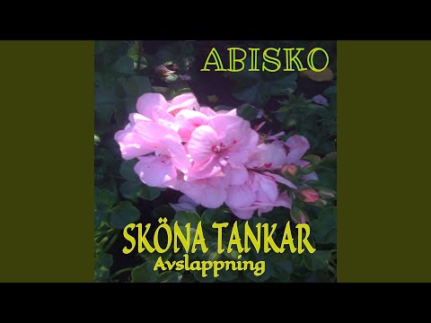 Download Abisko Lights Vinter Dvala Mp3 dan Mp4 2018