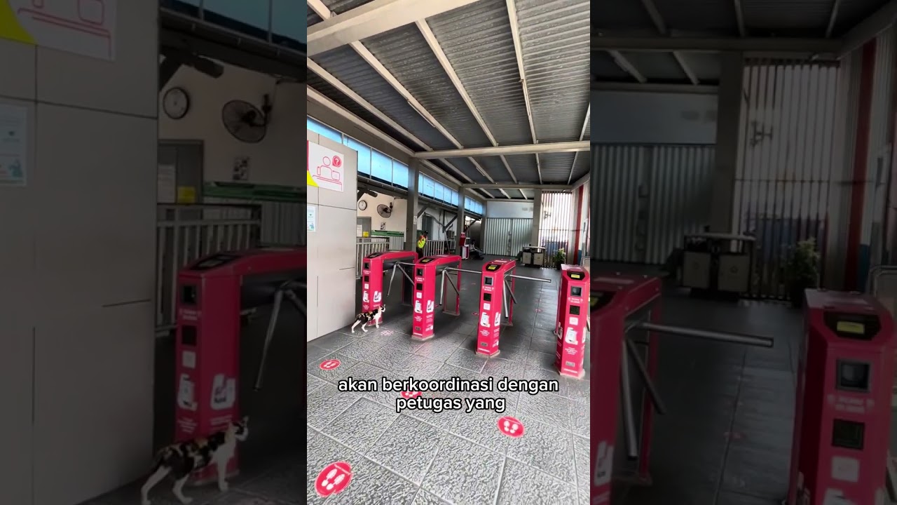 Apa Yang Harus Dilakukan Kalau Barang Tertinggal Di Commuterline