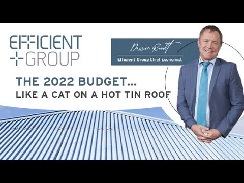 THE 2022 BUDGET | LIKE A CAT ON A HOT TIN ROOF