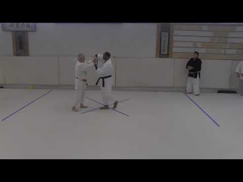 Aikido: Overcoming Wrist Locks with Jack Bieler, Lesson 1