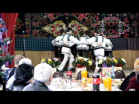 Grupul COMORILE TODIRENIULUI