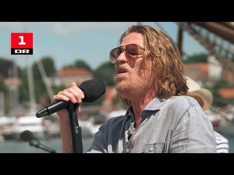 Søren Sko - Stuck on you | Sommertogtet | DR1