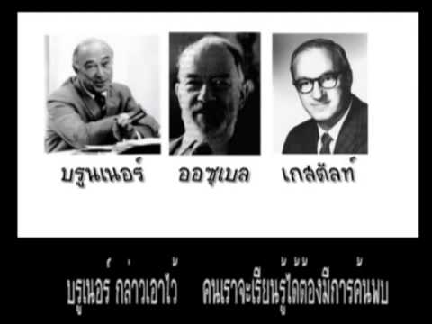 Potencies โรคหลอดเลือดสมอง ฟื้นฟูความแข็งแรงชาย