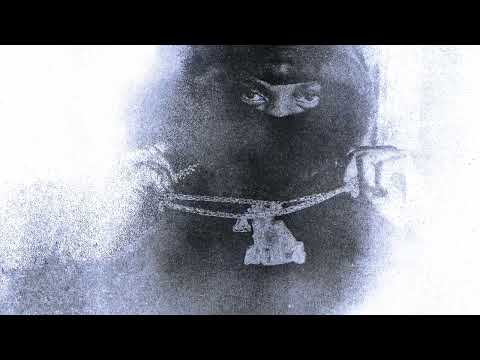 Big Steelo ft Dapp Deh Youngin Tutu Gang Visualizer