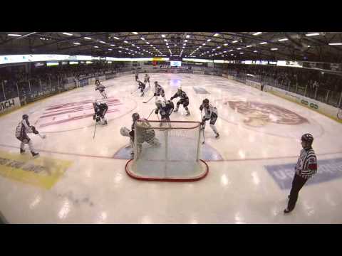27.01.15 Herning Blue Fox - Frederikshavn White Hawks