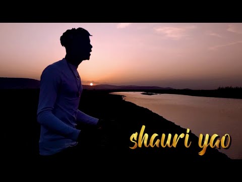 leon price tz - shauri yao (official video)
