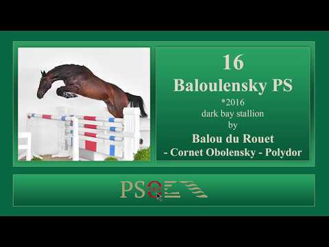 16 Baloulensky PS