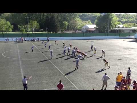 3. kolo / PLS / Bor Golden Bears @ Vukovi Beograd