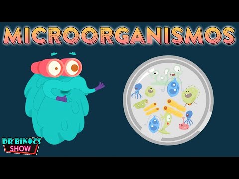 ¿Qué son los Microorganismos? | Las bacterias, los virus y los hongos | Educativos para niños 2021