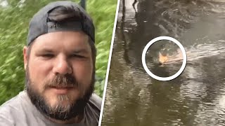 Baby deer swims to man for help during hurricane