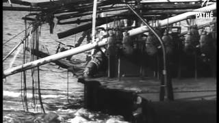 Fight To Save Half Tanker (1952)