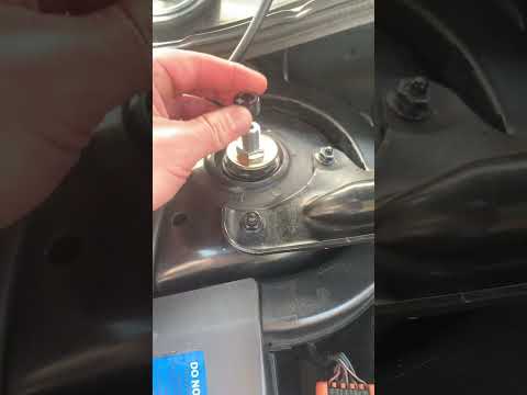 Megan EZ coils front adjuster knob?