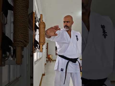 Kyokushin Legend Shihan Francisco Filho #fullcontact
