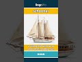 schooner (noun) - definition and usage in English