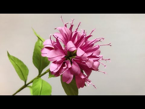 ABC TV | How To Make Bee Balm Paper Flower  - Craft Tutorial