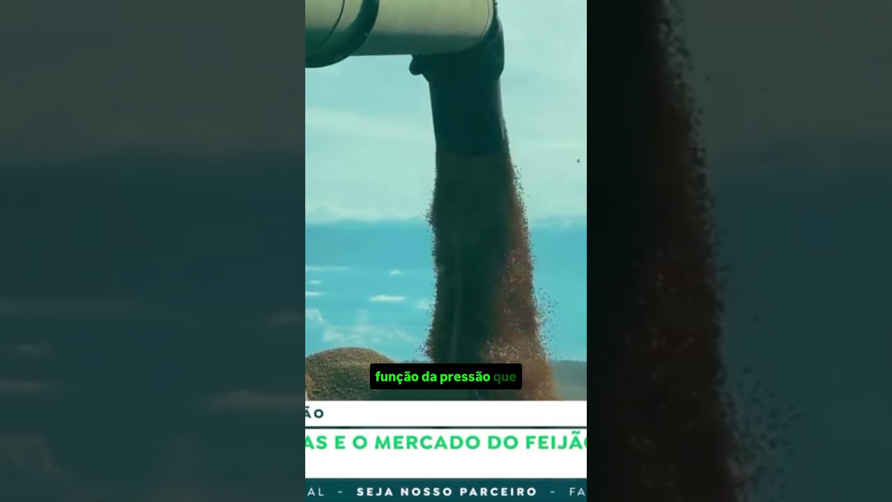 A volta às aulas e o mercado do feijão: O que esperar para agosto?