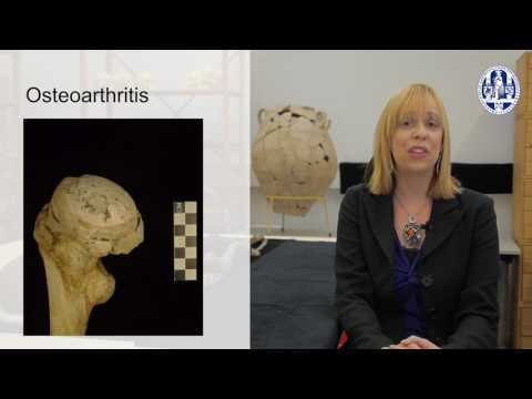 1.1B Welcome to the Course! -  Course Introduction