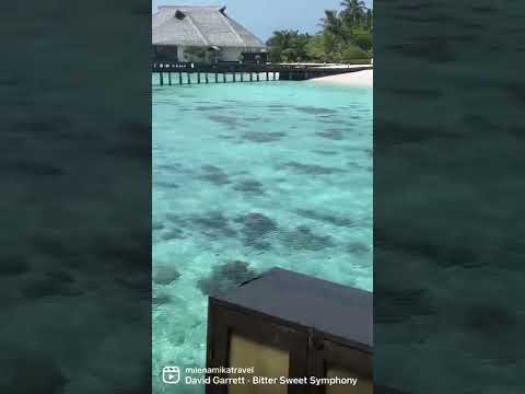 Videos del Adaaran Prestige Water Villas 5★ en Raa Atoll, MaldivasVer MásVerPrecios18CerrarConsulta por Whatsapp 🇦🇷BookingTripadvisorExpediaAgodaTravelocityOrbitzPricelineTripSkyscannerDespegarKayakHotelesDestiniaTrivagoLastminuteHotwireTuiWotif