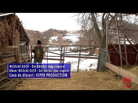 Nicolae Guta - Doi batrani stau singurei