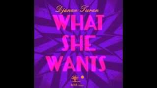 What She Wants - Djanan Turan,New Tune!! Out on itunes, now!! Video coming soon